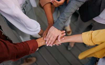 La force de l’économie sociale en affaires publiques