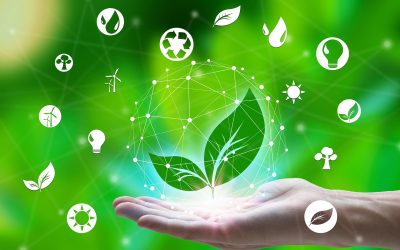 Entre promesses et impacts : l’économie sociale face au défi numérique